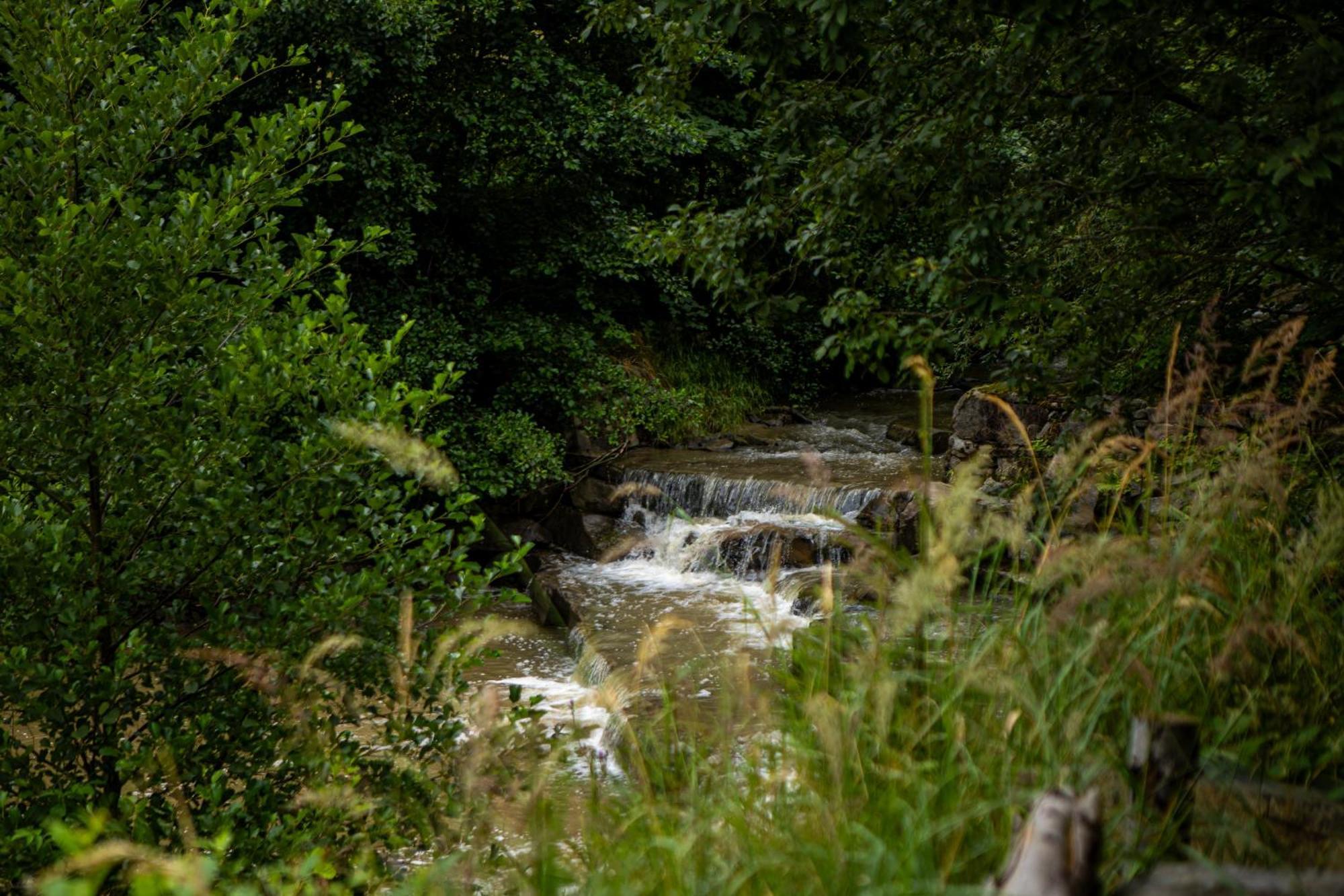 Domek Na Skalce Zabnica Esterno foto